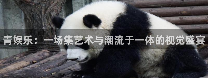 ms美狮贵宾会：青娱乐：一场集艺术与潮流于一体的视觉盛宴