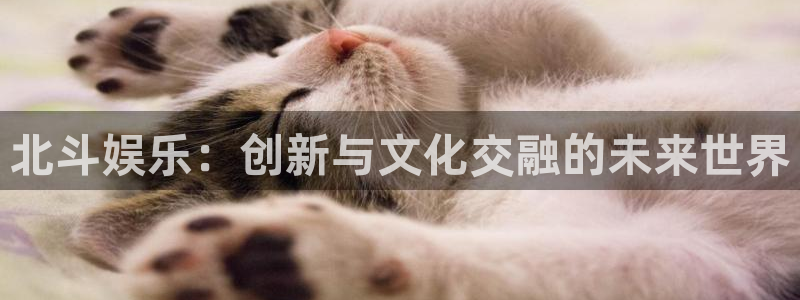 美狮贵宾会：北斗娱乐：创新与文化交融的未来世界