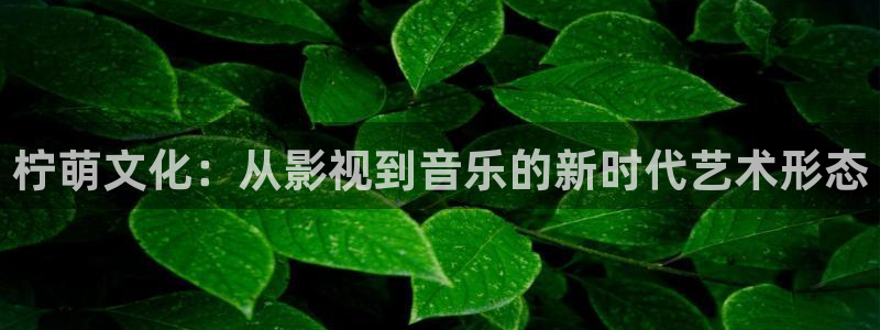 美狮贵宾会ms092021最新款报价及图片：柠萌文化：从影视到音乐的新时代艺术形态