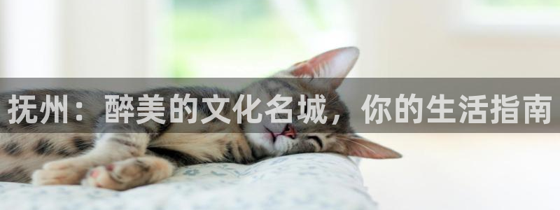 美狮贵宾会会员登录：抚州：醉美的文化名城，你的生活指南