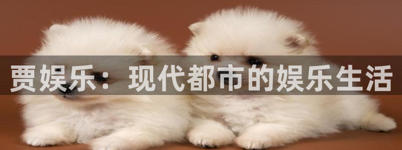 美狮贵宾会官方网下载：贾娱乐：现代都市的娱乐生活