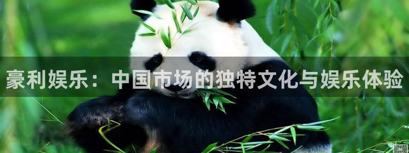 美狮贵宾会官方网下载：豪利娱乐：中国市场的独特文化与娱乐体验