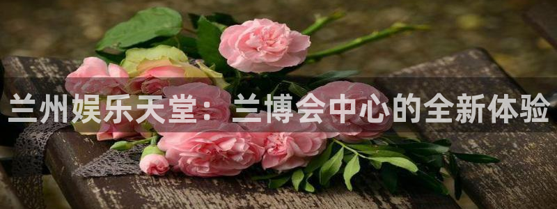 美狮贵宾会官网：兰州娱乐天堂：兰博会中心的全新体验