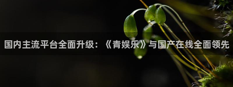 美狮贵宾会网页登陆：国内主流平台全面升级：《青娱乐》与国产在线全面领先