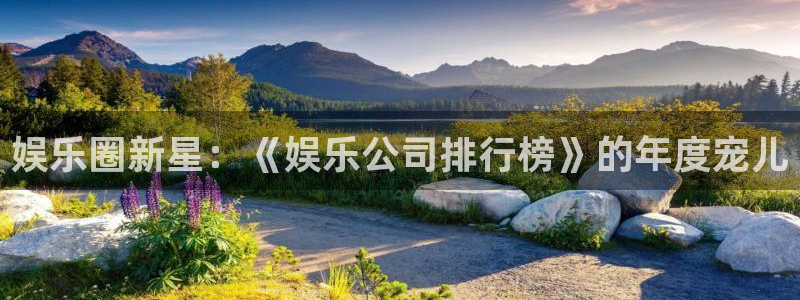 美狮贵宾会：娱乐圈新星：《娱乐公司排行榜》的年度宠儿