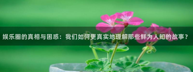美狮贵宾会ms092021最新款报价及图片：娱乐圈的真相与困惑：我们如何更真实地理解那些鲜为人知的故事？